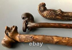 (2) Folk Art Carved Wooden Hobo Canes Walking Sticks + Parrot Bird Handle, 1900s