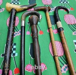 5 X ANTIQUE wooden walking stick canes horn STERLING SILVER ETC handles -B22