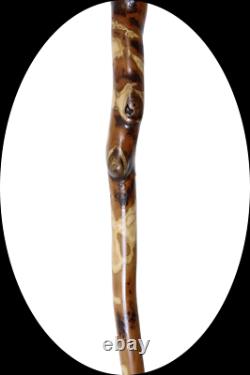 52 Persimmon Vine twisted Hiking Stick Trekking Pole Wooden Walking stick