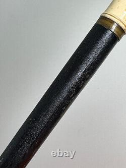 Antique 1900 hand carved wooden German walking stick cane hand leaf grape WOW