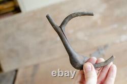 Antique Beautiful sapling root Wooden Cane Walking stick (Wizard cosplay cane)