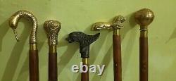 Antique Brass Walking Stick Different Handle Wooden Cane Victorian Lot of 5 Pcs