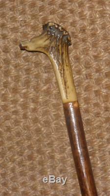 Antique Gents Solid Wooden Walking Stick With Antler Whistle Top 83cm