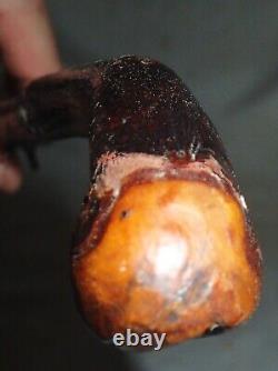 Antique Man Irish Black Thorn Shillelagh Walking Stick Tree Wood Art Cane 35.5