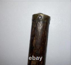 Antique Wooden Walking Stick With Coin In Top