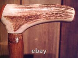 Antler handle walking stick cane MAPLE wood shaft very stiff CUSTOM MADE IN USA