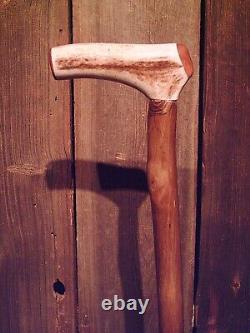 Antler handle walking stick cane MAPLE wood shaft very stiff CUSTOM MADE IN USA