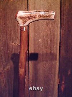 Antler handle walking stick cane MAPLE wood shaft very stiff CUSTOM MADE IN USA