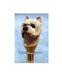 Cairn Terrier Dog Head Carved Handle Unique Style Wooden Walking Stick Cane Gift