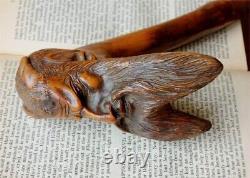 Carved Wooden Devil's Head Walking Stick. Antique 19thC Satan, Lucifer Wood Cane