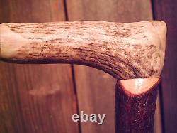 Deer Antler handle walking stick MAPLE wood antler scar shaft CUSTOM MADE IN USA