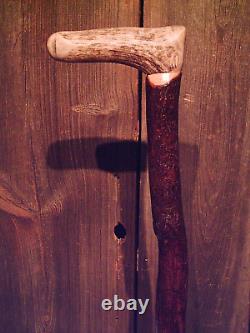 Deer Antler handle walking stick MAPLE wood antler scar shaft CUSTOM MADE IN USA