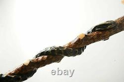 Designer Eagle and Snake Handmade Carved Wooden Walking Stick Cane Exclusive