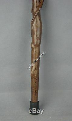 Display China Brown Ji-chi hard wood root carved wooden cane walking stick