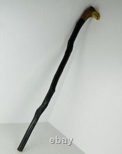 Eagle Head Handle Hand Carved Walking Cane Wooden Walking Stick Handmade