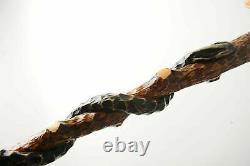 Eagle and Snake PERFECT HANDMADE CARVED WOODEN WALKING STICK CANE Exclusive