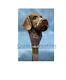 German Wirehaired Pointer Dog Head Handle Carved Wooden Walking Stick Cane Gift