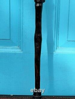Hand Carved Dark Wooden Bird Walking Stick Cane