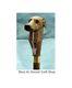 Hand Carved Greyhound Dog Wooden Walking Cane For Men Women Walking Stick Cane