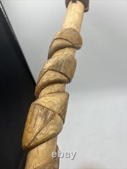 Hand Carved Rattlesnake Walking Stick AWESOME Wizard, Staff, Magic Wood
