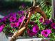 Hand Carved Walking Stick Pretty Cane Wooden Crafted Flower Light Women Ladies