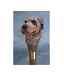 Hand Carved Irish Wolfhound Handle Wooden Walking Stick Animal Dog Walking Cane
