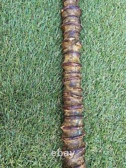 Handcrafted Wood Hiking Stick Natural Spiral Round Walking Staff Very RARE 33