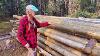 How I Stacked And Seasoned My Cabin Logs Your Questions Answered