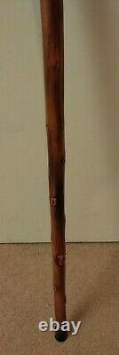 Huge natural Wooden round Knob THICK like Concord CANE walking stick 36 1/8