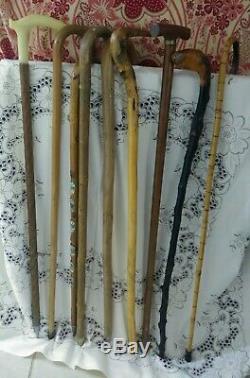 LOT of 9 Vintage Wooden Walking Stick & Cane Collection 6 Hiking Medallions