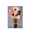 Labrador Retriever Dog Head Carved Handle Unique Wooden Walking Stick Cane Gift