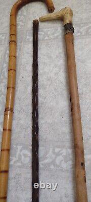 Lot Of 3 Antique Wooden Estate Canes Walking Sticks