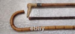 Lot Of 3 Antique Wooden Estate Canes Walking Sticks