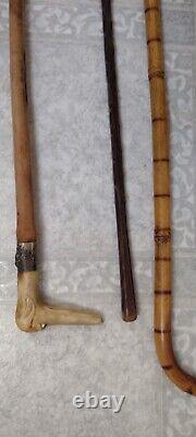 Lot Of 3 Antique Wooden Estate Canes Walking Sticks