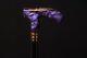 Magic Purple Walking Cane Magnificent Wooden Cane Incredible Walking Stick