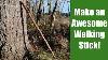 Make Your Own Walking Hiking Stick From A Tree Or Branch Simple Diy Project Step By Step Process