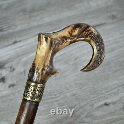 Moose antler Handle Cane Walking Stick Wooden Horn Handmade Exclusive Unique #2