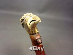 Old Shadow Switch Stick Walking Stick Collection in Wooden & Knob Head'Bird