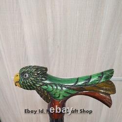 Parrot Head Handle Hand Carved Walking Cane Wooden Walking Stick Handmade B/G6