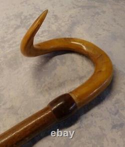 RAM'S HORN Walking Stick Cane Oak Handle Wooden Handmade Exclusive Unique