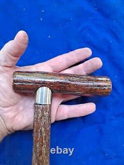 Rare SASSAFRAS Natural Twisty CANE/Walking Stick HICKORY Shank Handle 300lb