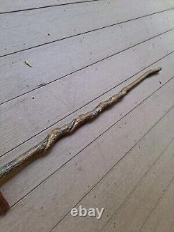 Rare SASSAFRAS Natural Twisty CANE/Walking Stick HICKORY Shank Handle 300lb