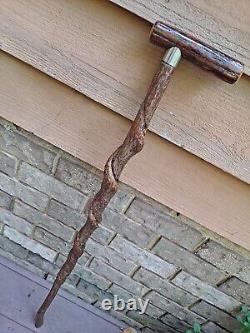 Rare SASSAFRAS Natural Twisty CANE/Walking Stick HICKORY Shank Handle 300lb