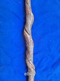 Rare SASSAFRAS Natural Twisty CANE/Walking Stick HICKORY Shank Handle 300lb