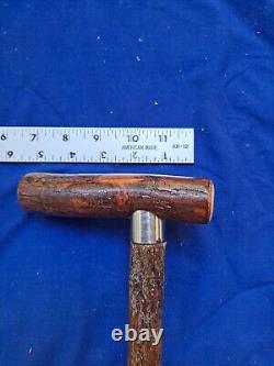 Rare SASSAFRAS Natural Twisty CANE/Walking Stick HICKORY Shank Handle 300lb