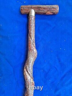 Rare SASSAFRAS Natural Twisty CANE/Walking Stick HICKORY Shank Handle 300lb