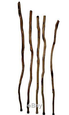 Tall Wooden Hiking Stick, Handcrafted Diamond Willow Long Wood Walking Staff USA