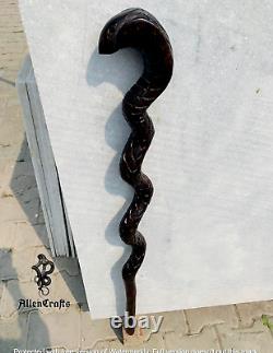 Unique Snake Design Wooden Walking Stick Cane New Style Gift