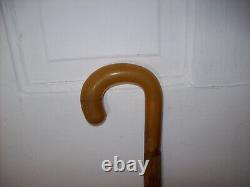 Vintage Antique Butterscotch Bakelite Horn Walking Stick Cane