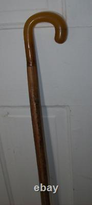 Vintage Antique Butterscotch Bakelite Horn Walking Stick Cane